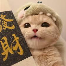 Hỗ trợ viên