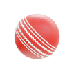 Bóng cricket